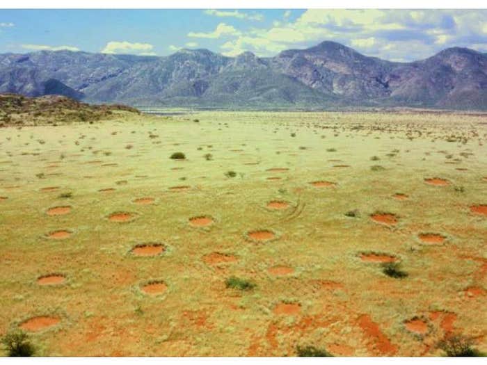 crop circle