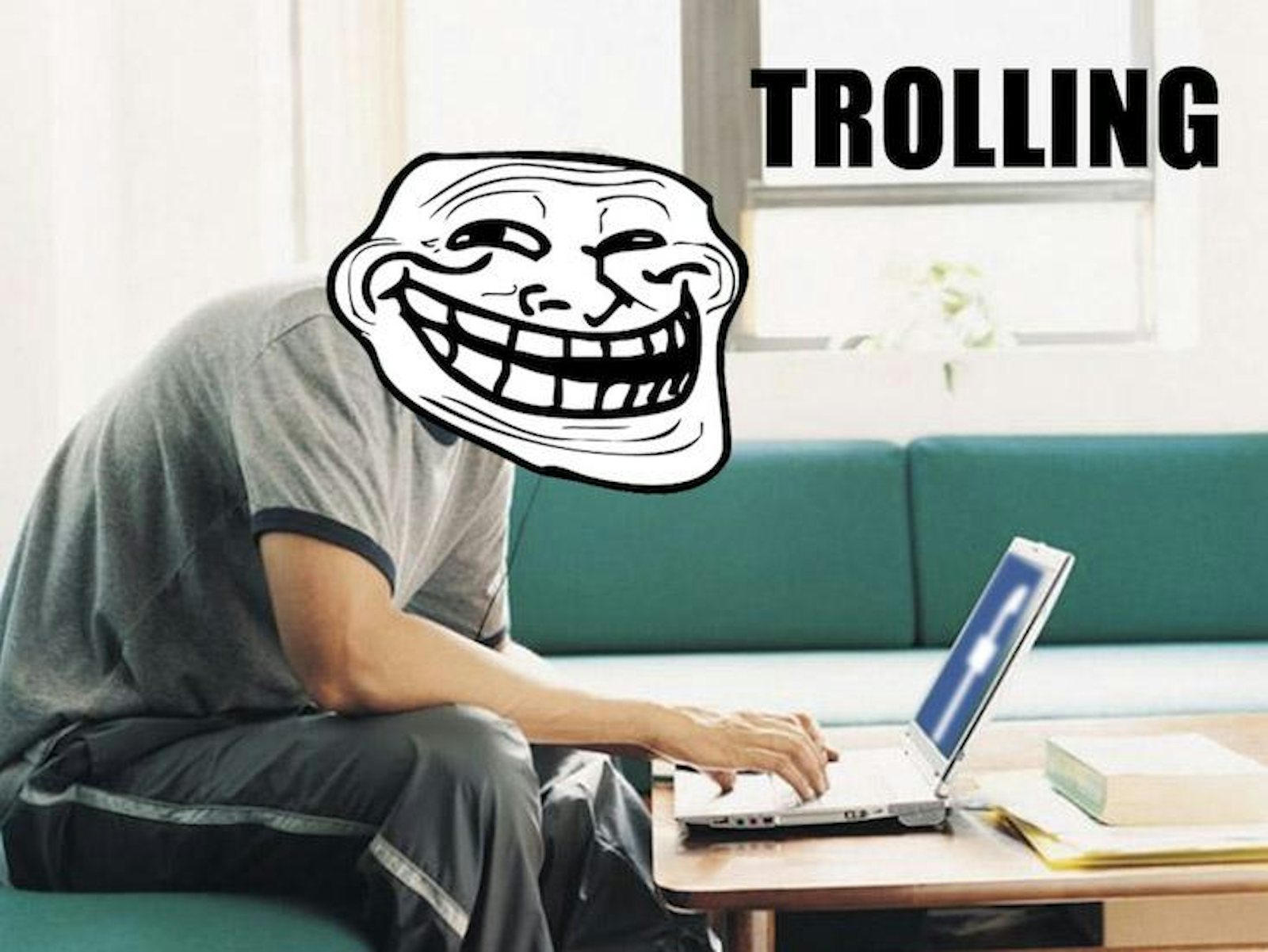 What does Internet Troll mean?