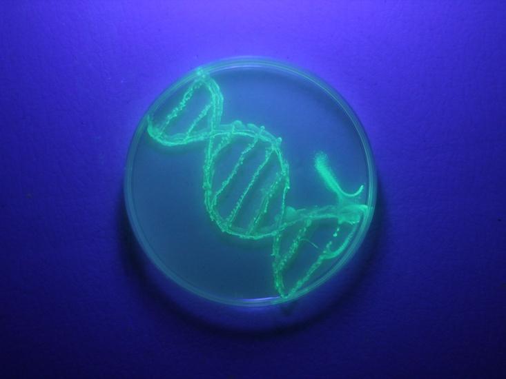 Kozubek-DNA-editing_HERO