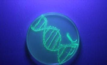 Kozubek-DNA-editing_HERO
