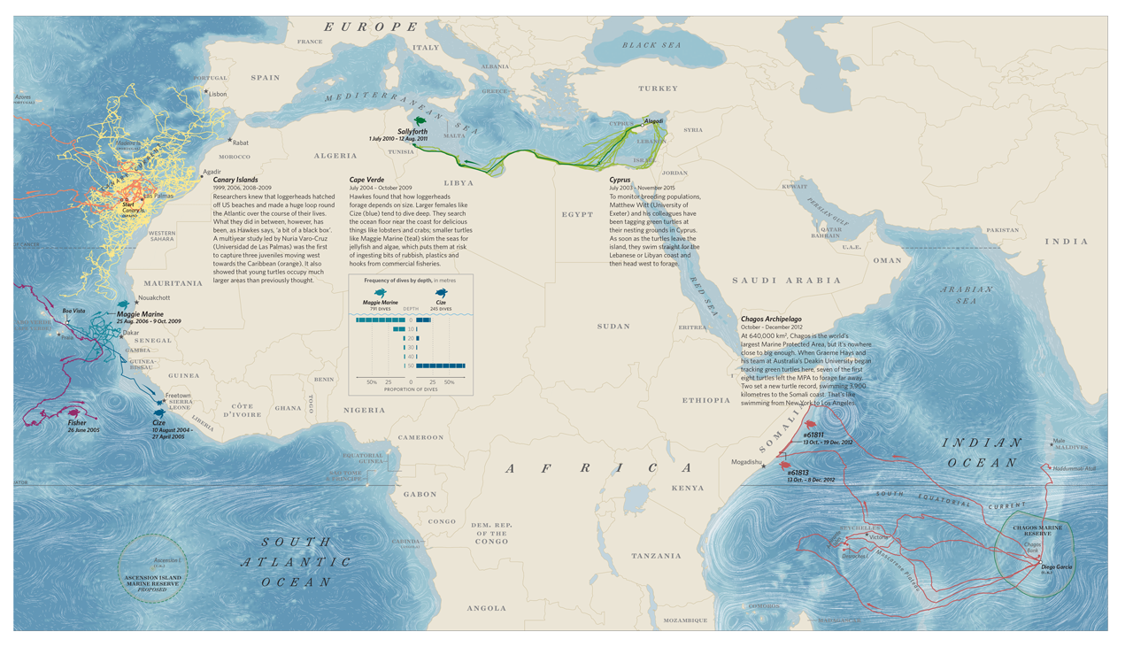 Интерактивная карта моря. Great Green Sea карта. Аннет-Айленд, карта. Secure Seas карта как выглядит. Birds migrating across the Sea Map.