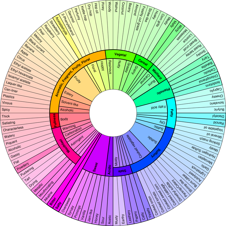 Are You a Super Taster? How Taste Impacts Your Appetite - CircleDNA