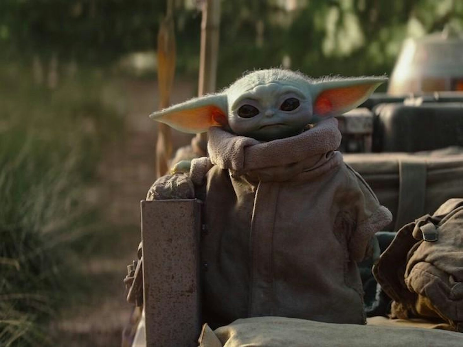 What Makes Baby Yoda So Lovable? - Nautilus
