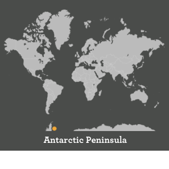 Antarctic_CORNER