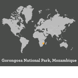 Mozambique_CORNER