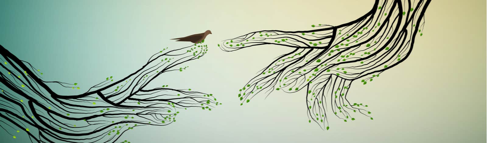 Evolution doesn't proceed in a straight line – so why draw it that way?