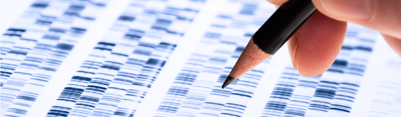 Why Do We Have to Die? - Nautilus