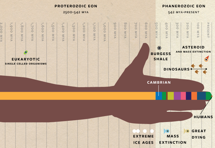 the-greatest-animal-war-nautilus-science-connected