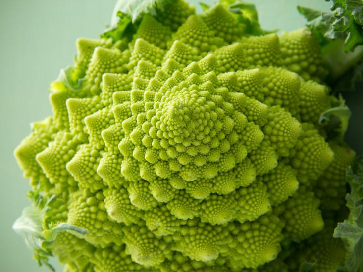 Romanesco broccoli