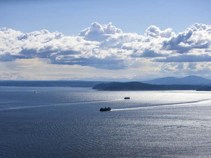 Puget Sound from Space Needle