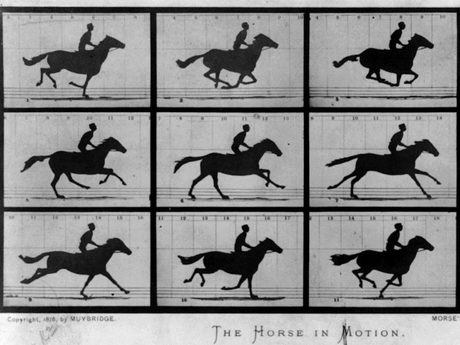 Muybridge The Horse in Motion 