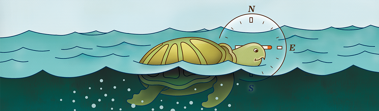 Davies_HERO_1280x376