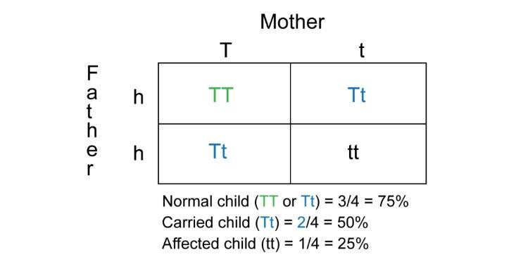 The first family with Tay-Sachs disease in Cyprus: Genetic