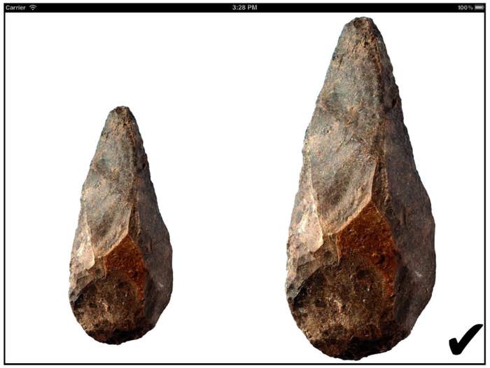 stone handaxes