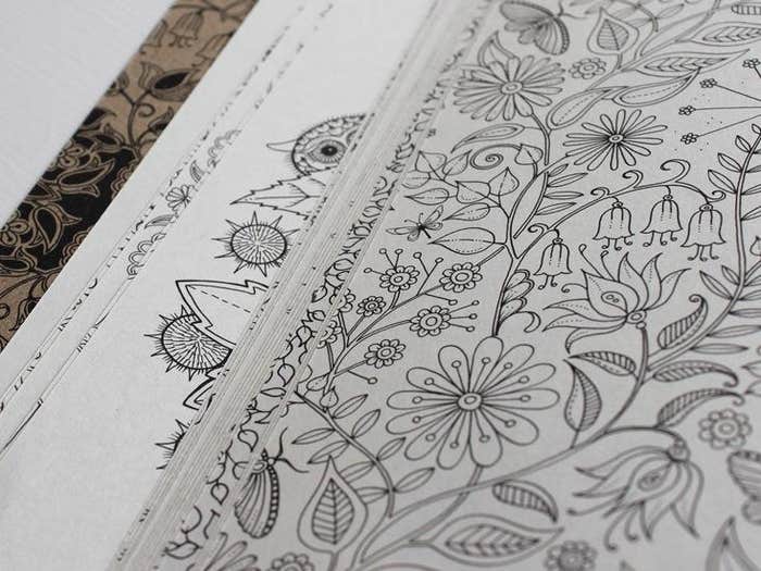 Secret Garden adult coloring book hero