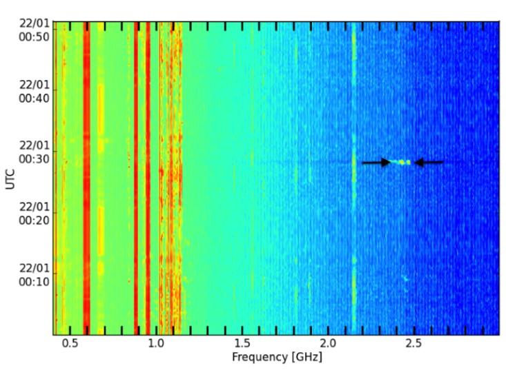 Parkes peryton signal bottom hero
