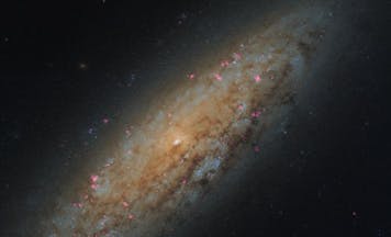 ngc 6503 galaxy
