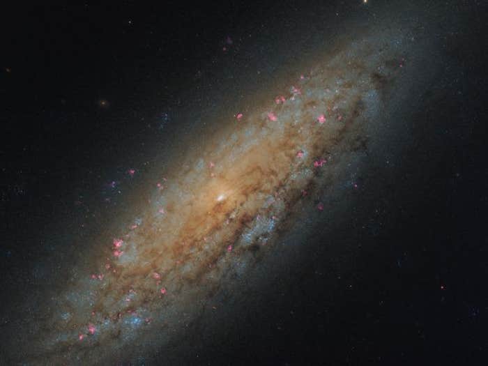 ngc 6503 galaxy