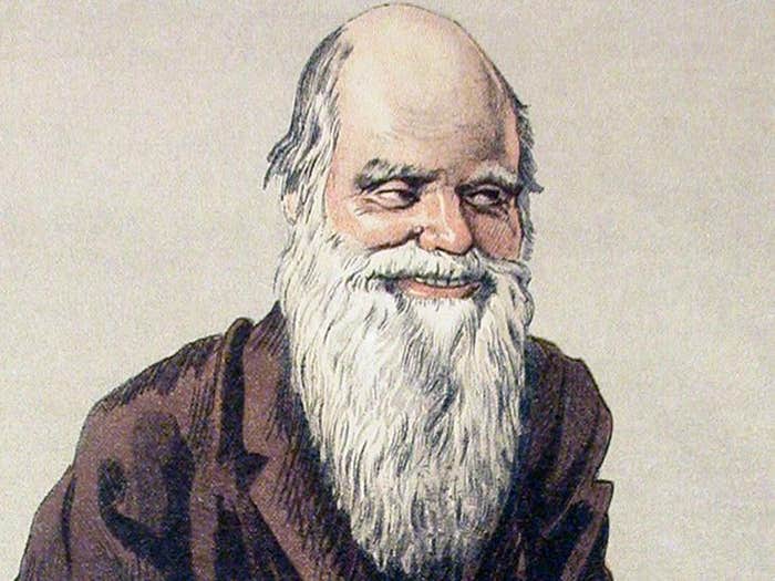 darwin vanity fair