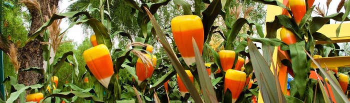 Bikle_Montgomery_HERO