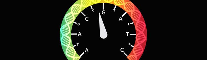 von-Bubnoff_HERO-anim