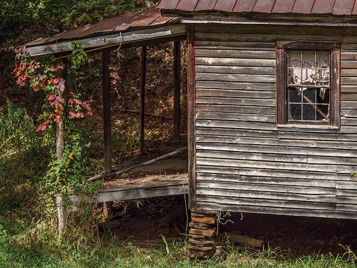 overgrown cabin_HERO