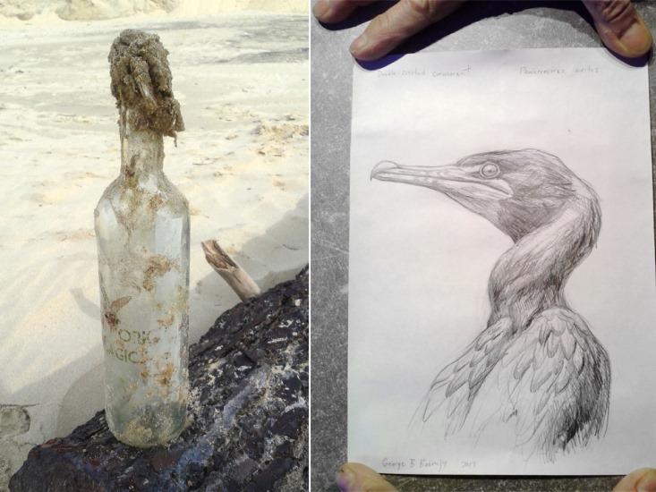 message in bottle hero