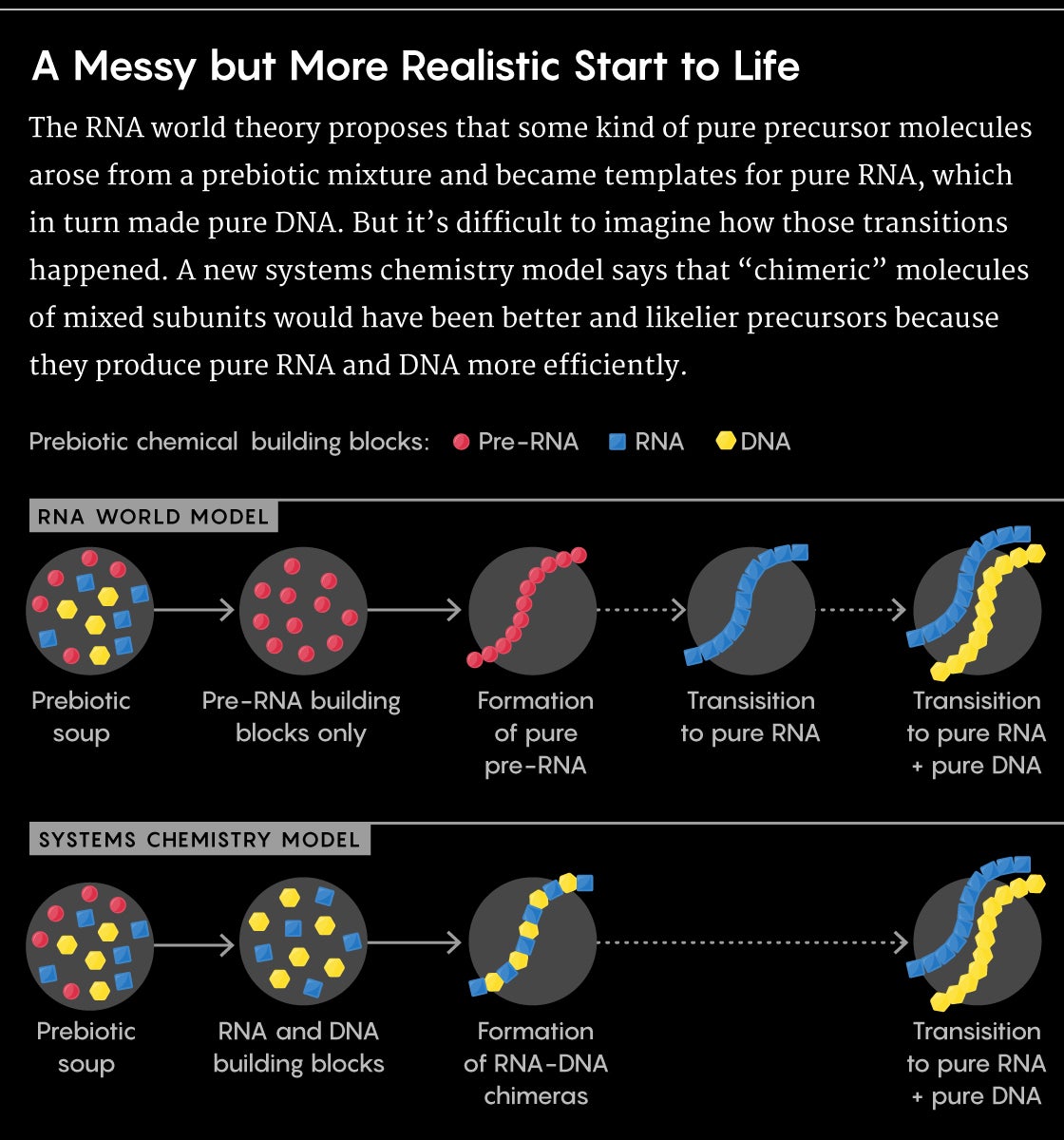 rna theory