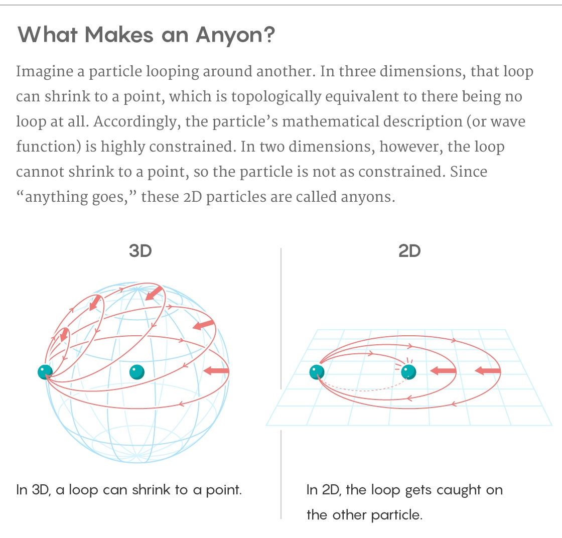 nautilus and anyons