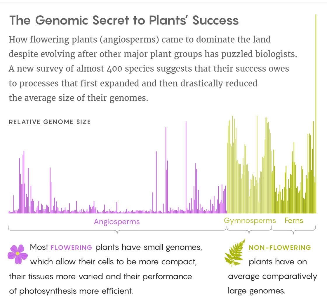 PlantGenome