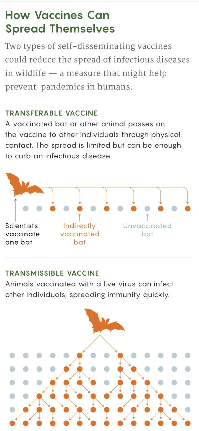 nautilus vaccines