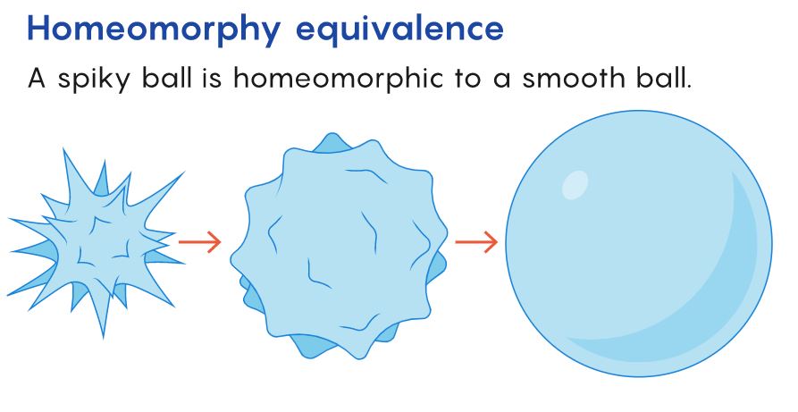 homeomorphy equivalence