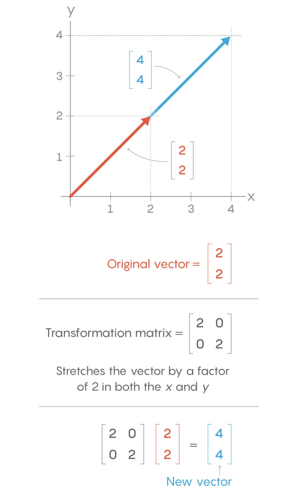 nautilus vector