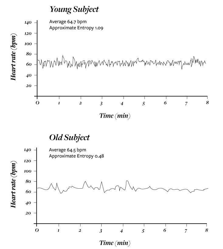 Lipsitz_BR