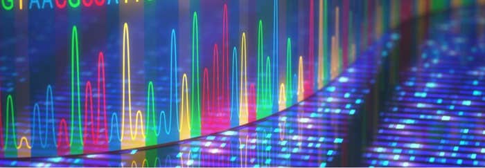 Reading Genomes: The Key to Life and to Thwarting Death