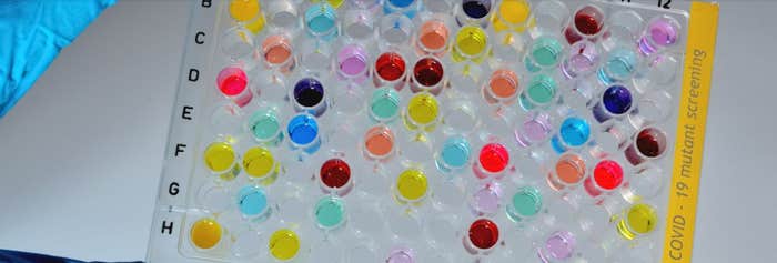 Article Recirculation Lead Image