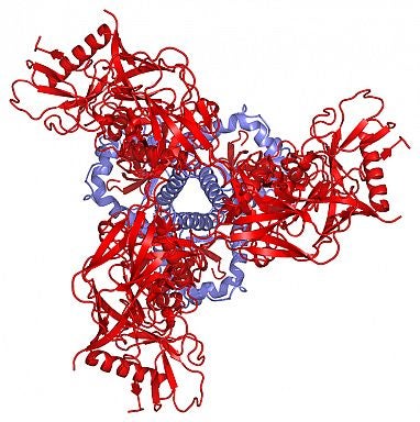 alliance pre fusion hiv spike