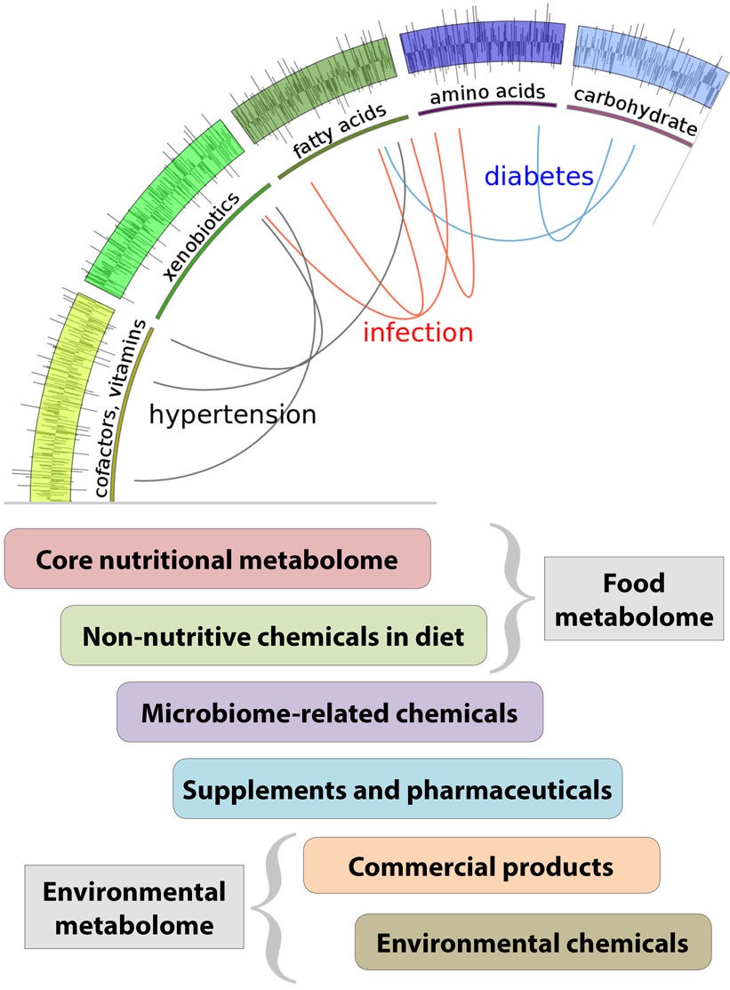 exposome-chart