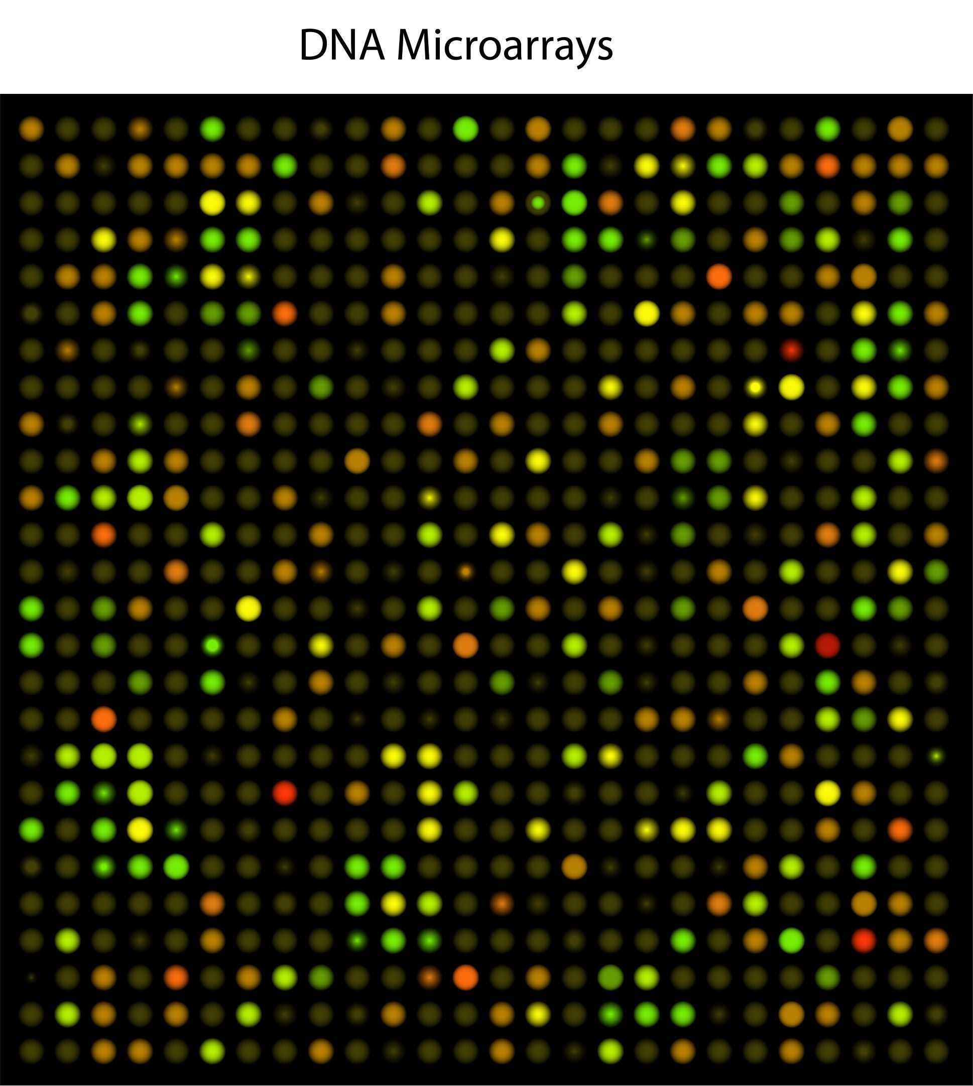 alliance dna microarrays