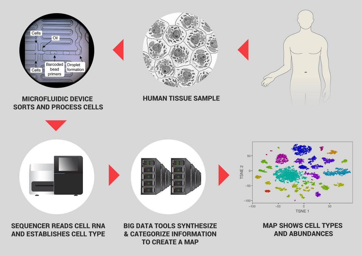 cell-genomics-1