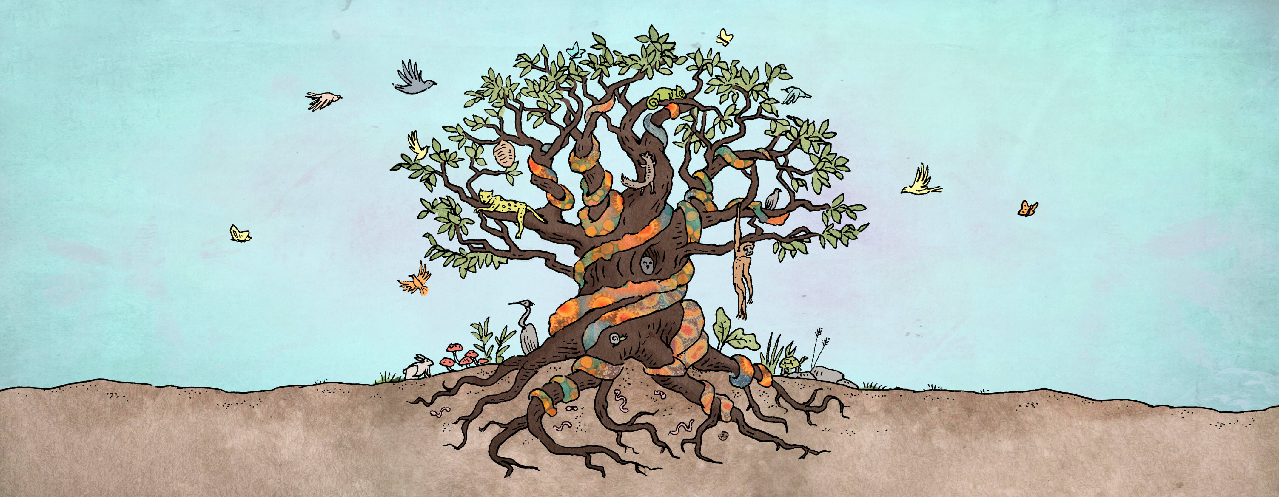 alliance nautilus tree