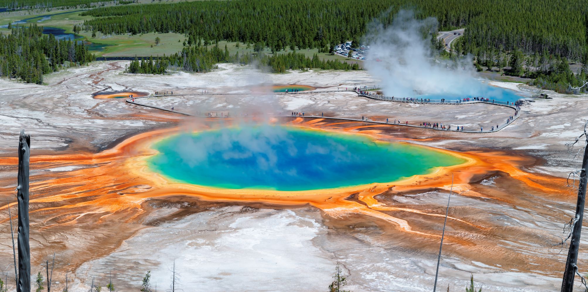 grand prismatic natuilus