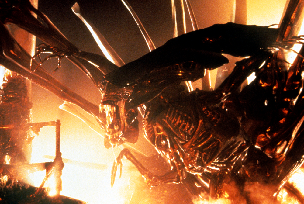 Article Recirculation Lead Image