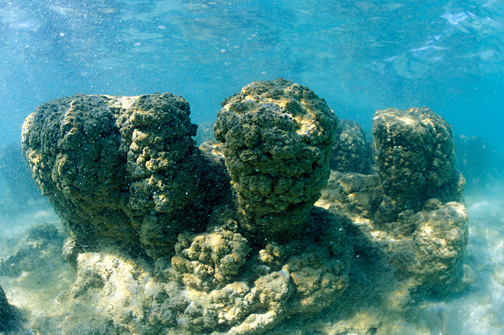 Cartier-Wright-BR-stromatolites