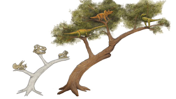 Redefining Dinosaurs: Paleontologists are Shaking the Dinosaur Family Tree to its Roots.
