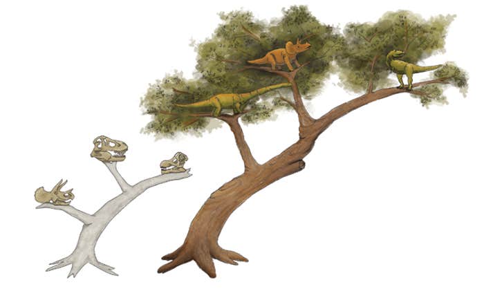 Redefining Dinosaurs: Paleontologists are Shaking the Dinosaur Family Tree to its Roots.