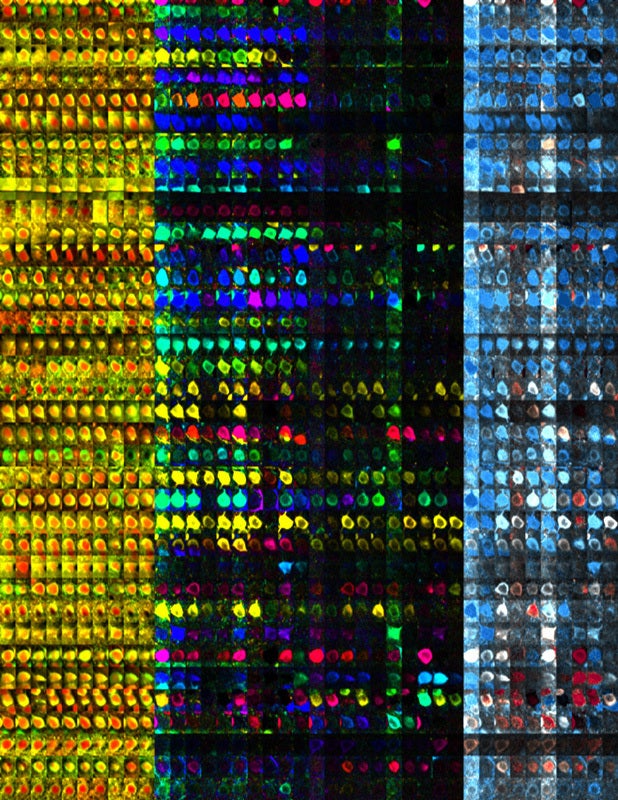 Article Recirculation Lead Image
