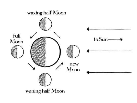 Lemons_CHART_fig5