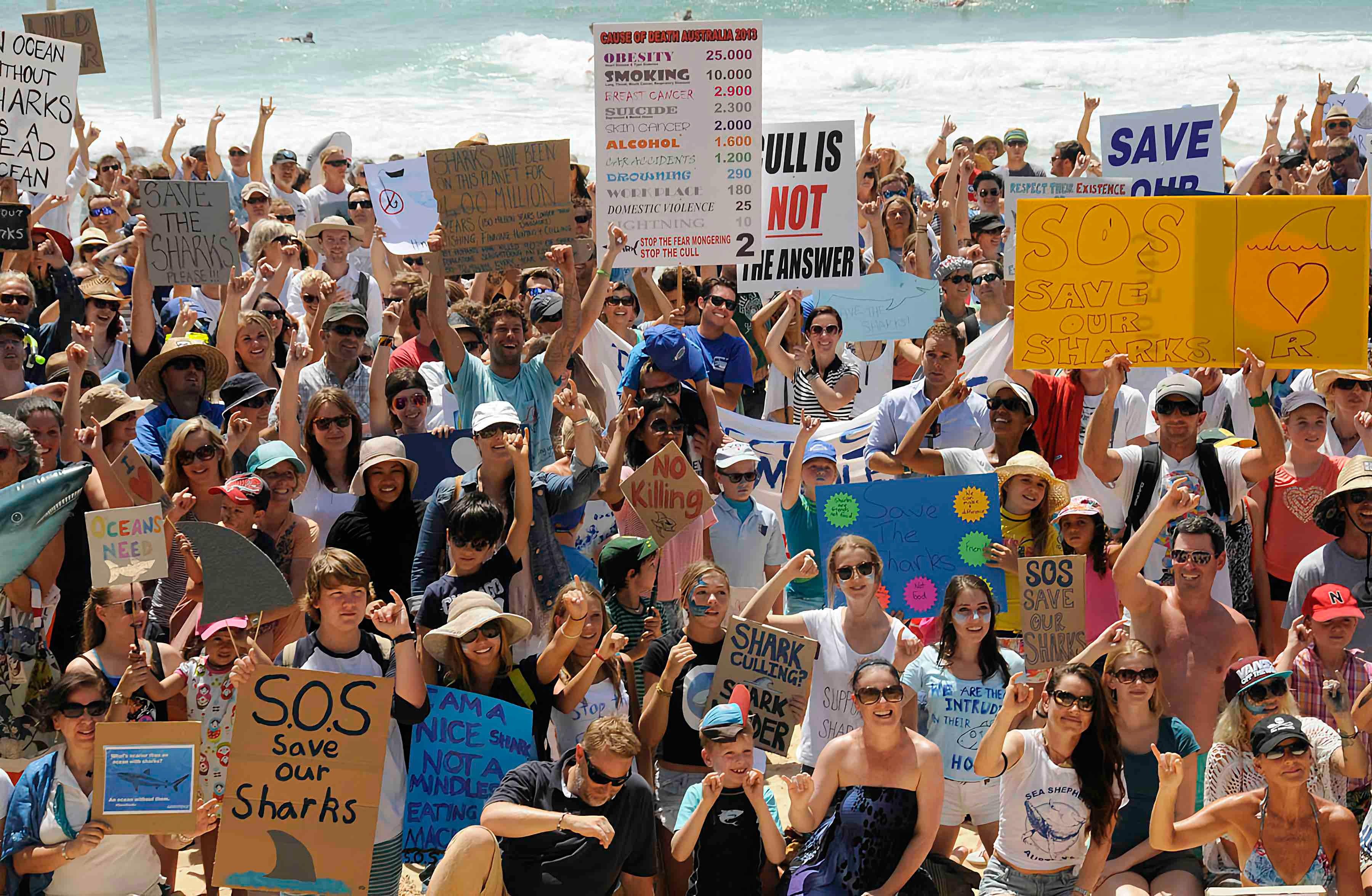 shark protests