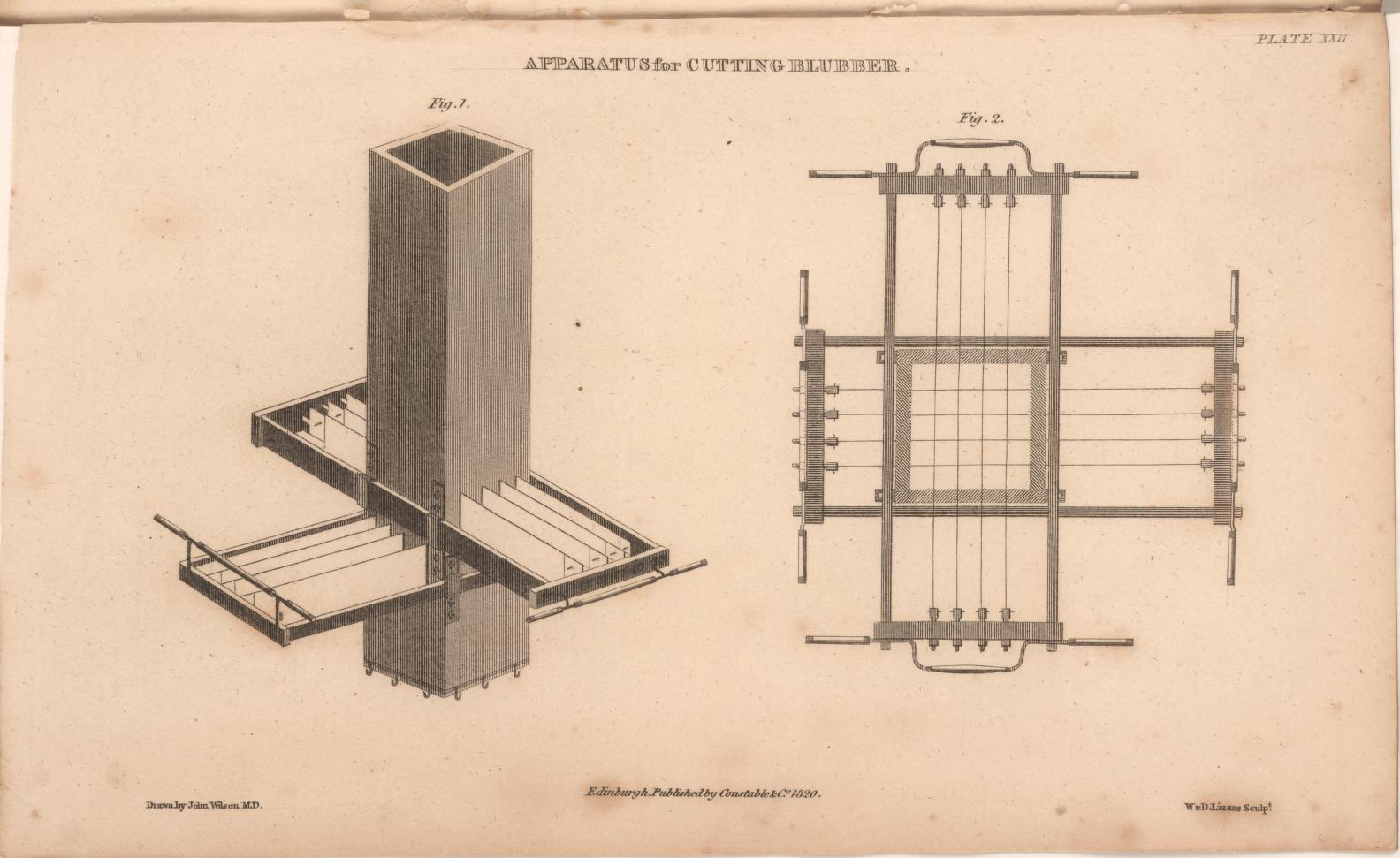 Apparatus for Cutting Blubber